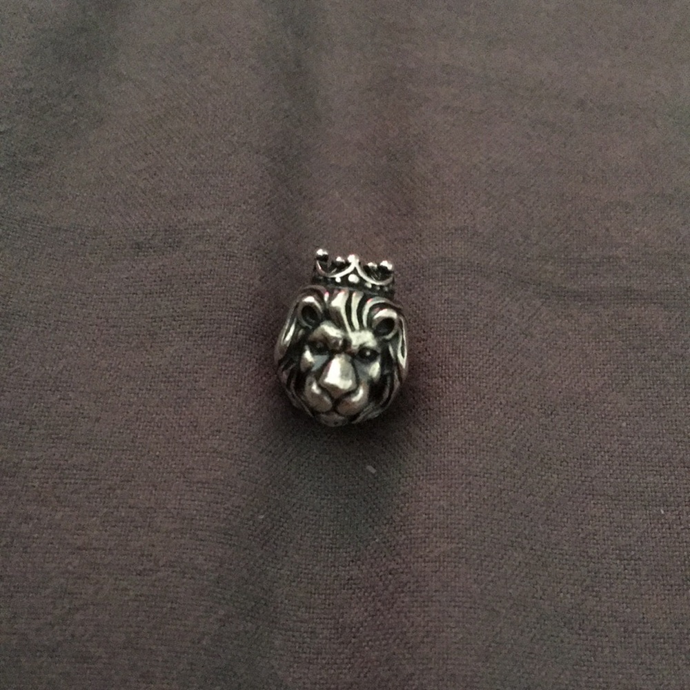 RETIRED Pandora charm